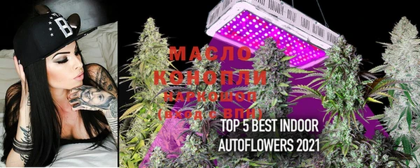 меф Новодвинск