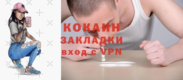 прущие грибы Новокубанск