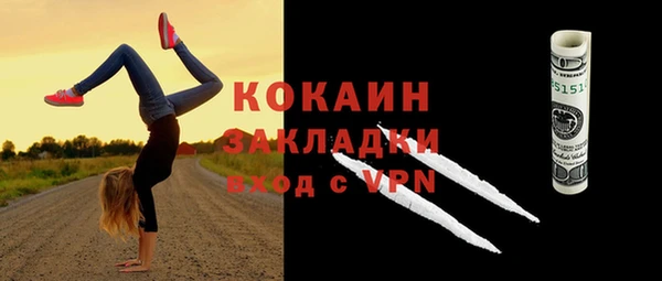 тгк Новозыбков