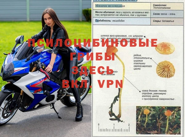 меф Новодвинск