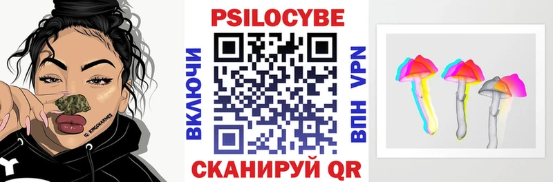 Купить где  Краснодар  Псилоцибиновые грибы Psilocybine cubensis 